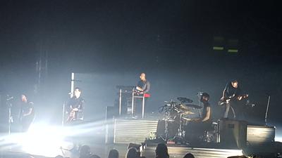 picture #8