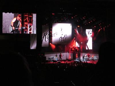 picture #22