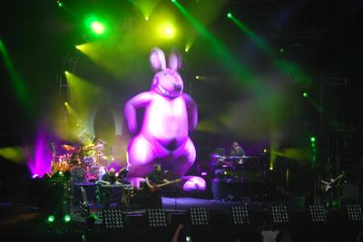 picture #78