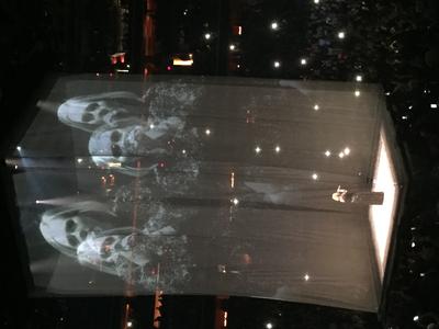 picture #48