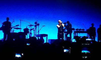 picture #11