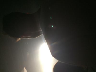 picture #6