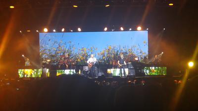 picture #89