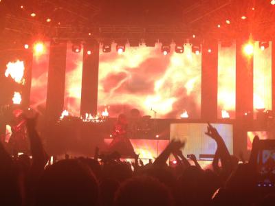 picture #8
