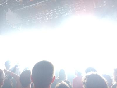 picture #7