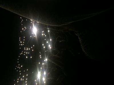 picture #8