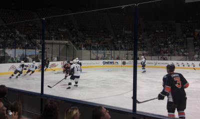 picture #7