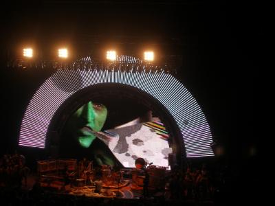 picture #7