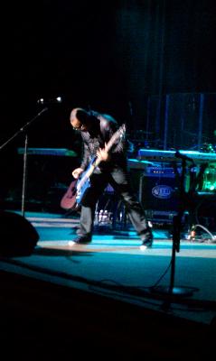 picture #11