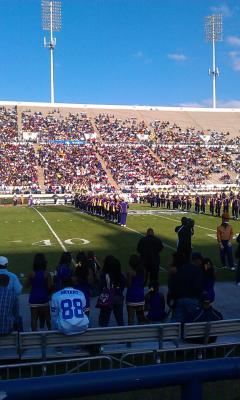 picture #4