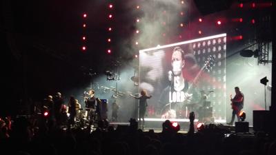 picture #18