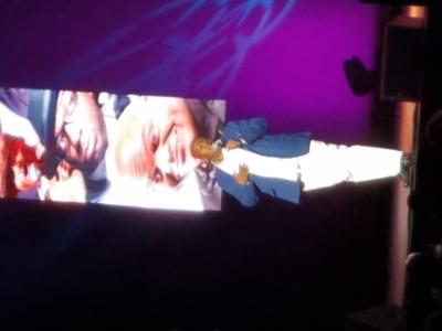 picture #4