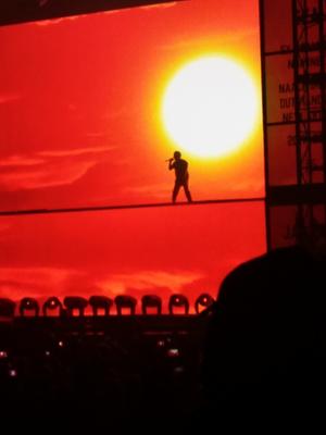 picture #27