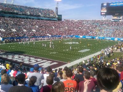 picture #7