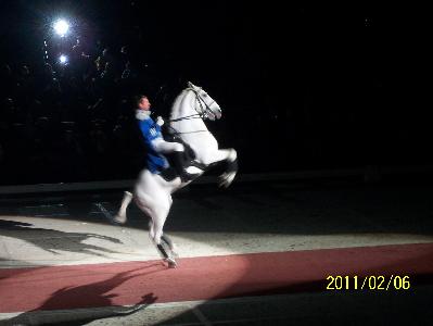 lipizzaner stallions tour 2022 uk