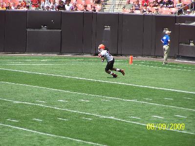 picture #51