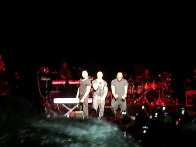 picture #16