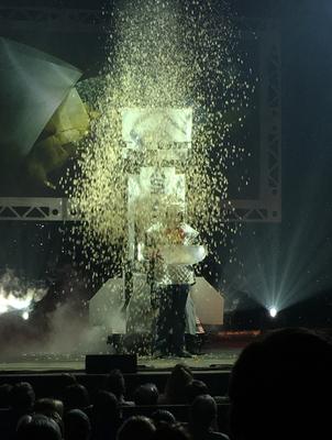 picture #41