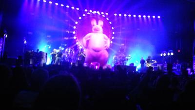 picture #69