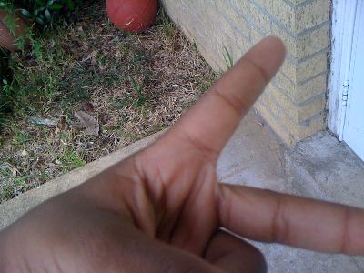 picture #33