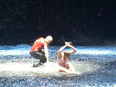 picture #8