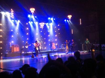 picture #8