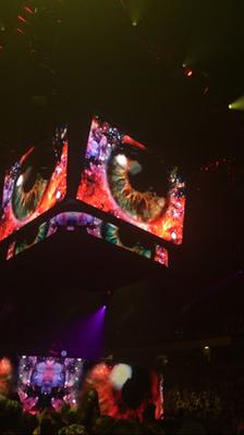 picture #44