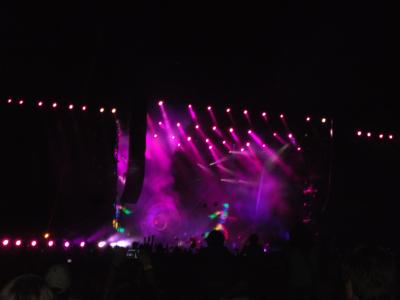 picture #24