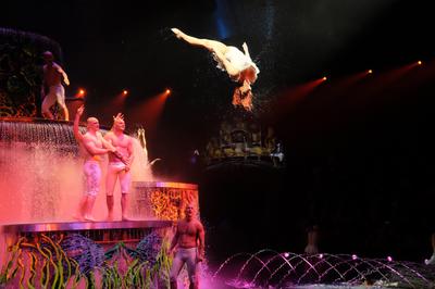 picture #6