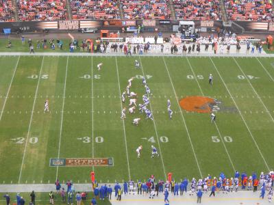 picture #33