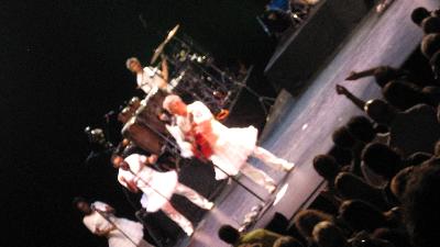 picture #8