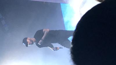 picture #8