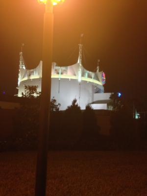 picture #4