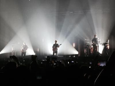 picture #16