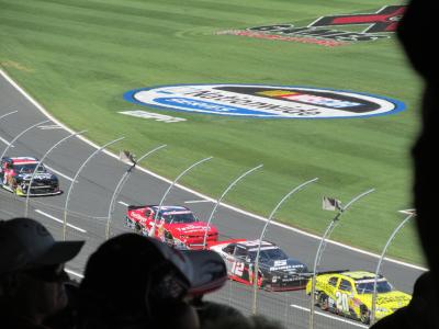 picture #38