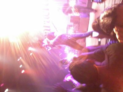 picture #8