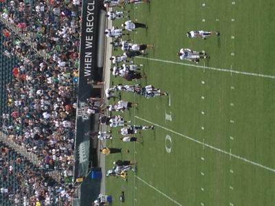picture #38