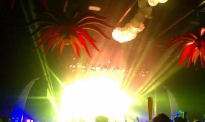 picture #5