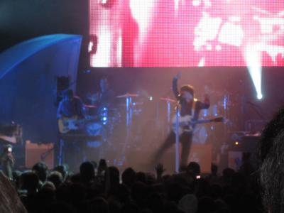 picture #8
