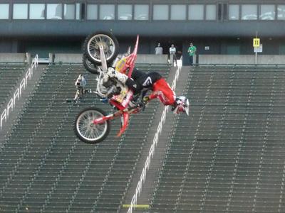 picture #8