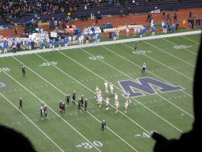 picture #19