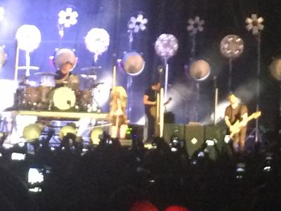 picture #54