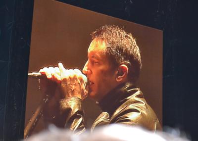 picture #7