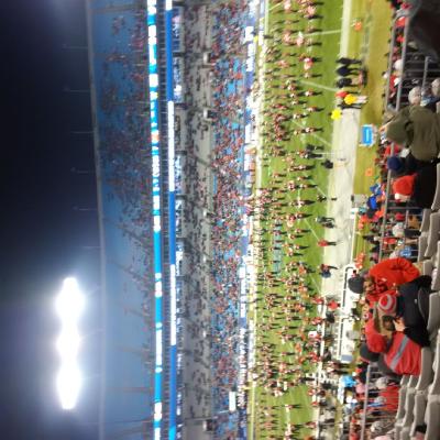 picture #11