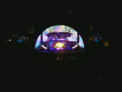 picture #4