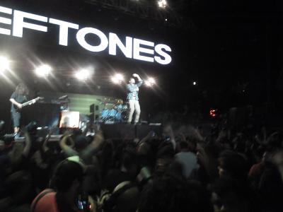 picture #15