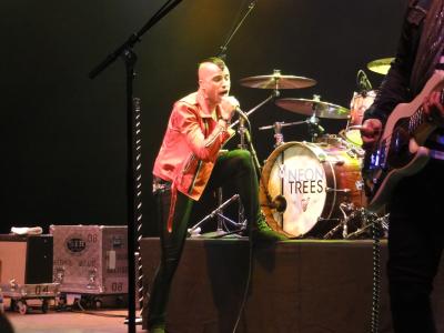picture #37