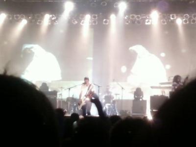 picture #46
