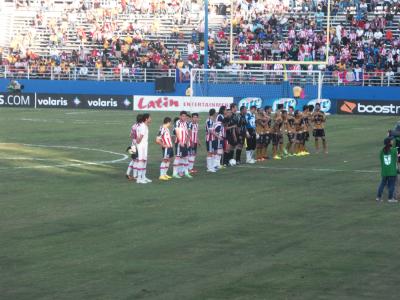 picture #11
