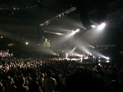 picture #8